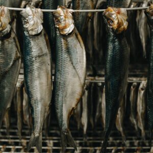 Preserved Fish / Meat